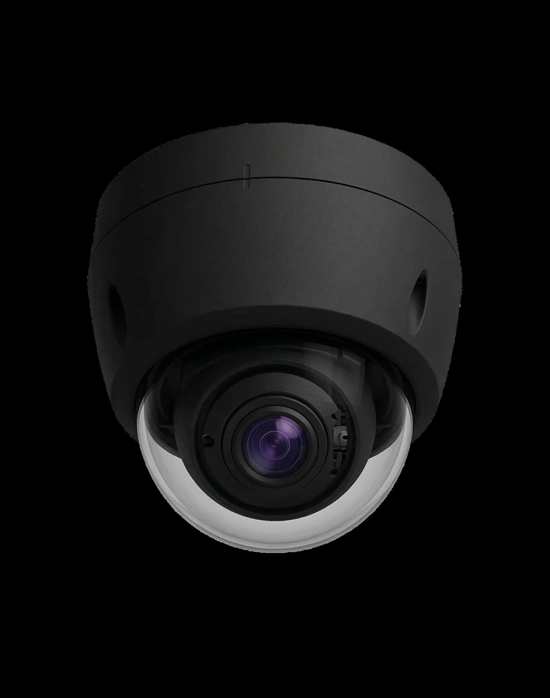 Professional security camera monitoring